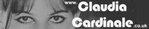 Small banner