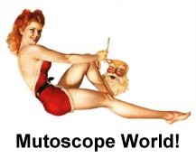 link to www.mutoworld.com