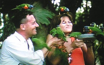 Claudia Cardinale in A Girl in Australia